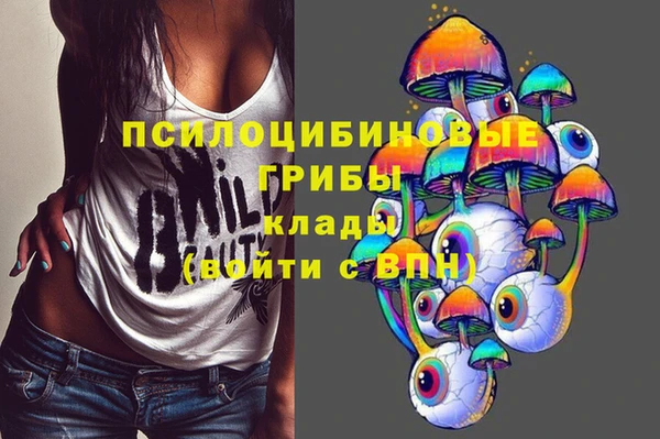 дживик Абинск