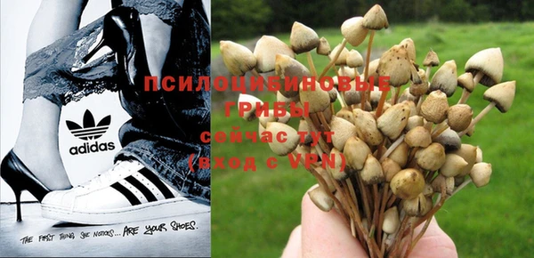 MDMA Абдулино