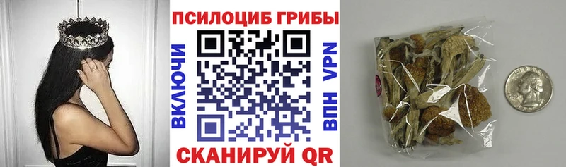 shop Telegram  хочу   Ростов-на-Дону  Псилоцибиновые грибы GOLDEN TEACHER 