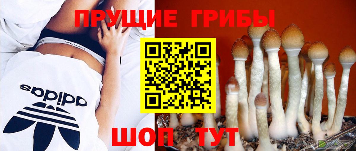 Галлюциногенные грибы Psilocybe  хочу наркоту  Ростов-на-Дону  Псилоцибиновые грибы MAGIC MUSHROOMS  Вход с VPN 