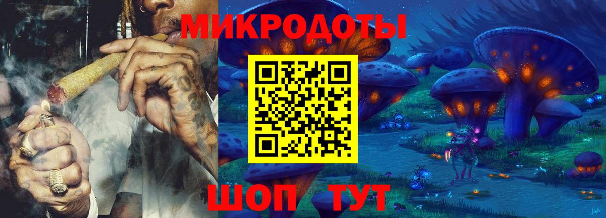 Псилоцибиновые грибы Psilocybine cubensis Ростов-на-Дону